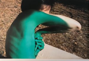 Viviane Sassen alla Galleria Carla Sozzani