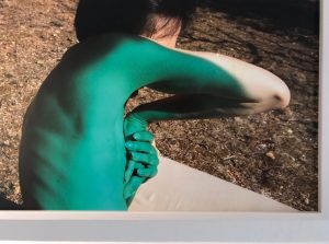 Viviane sassen 